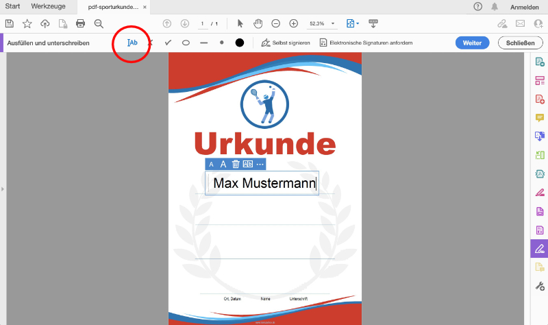 Textfelder in die PDF-Vorlage einfügen