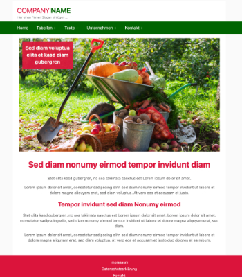 Website Templates: Website Template Business 'Green-Red'. HTML Datei