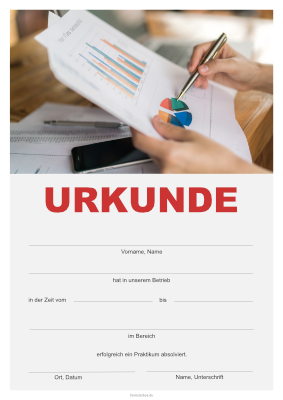Urkunden Praktikum: Praktikumsurkunde Finanzen. PDF Datei