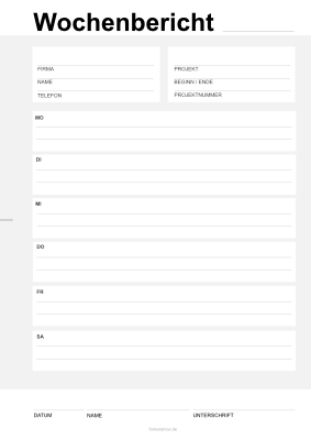 Organisieren, Planen: Wochenbericht 2 (Montag bis Sonnabend). PDF Datei