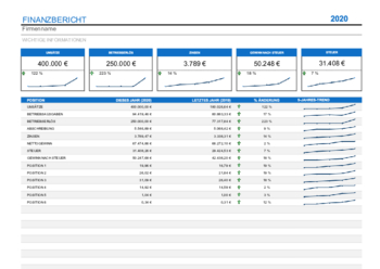 Finanzen: Jahresfinanzbericht (Excel). XLSX Datei