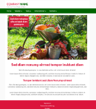 Website Template Business 'Green-Red'